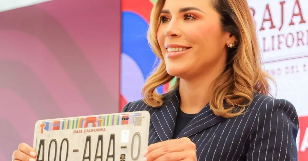 Marina del Pilar descarta solicitar licencia como Rocha Moya
