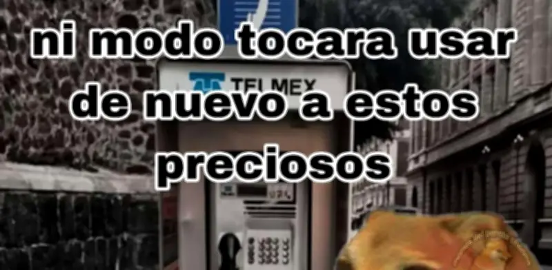 Memes por registro de línea telefónica: ¿Sin celular? Busca teléfono público y monedas