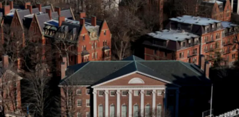 Mexicanos en Harvard: pasión por el Mundial entre clases y exámenes