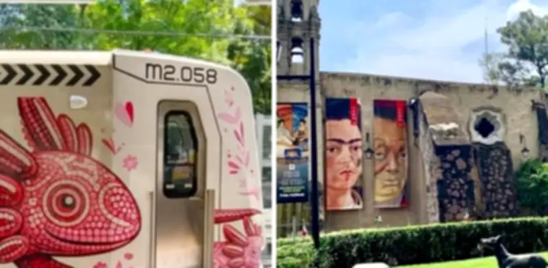 Museo Dolores Olmedo: guía definitiva para llegar en transporte público