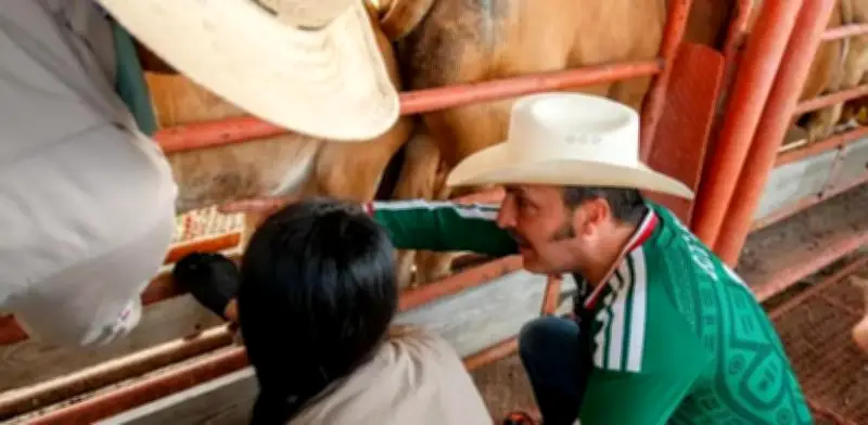 Nuevo León inspeccionará físicamente ganado para evitar gusano barrenador