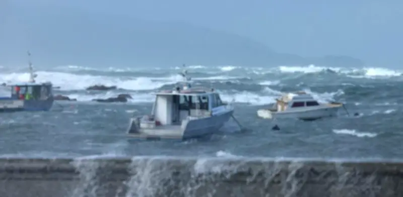 Olas de 11 metros obligan a evacuar zonas costeras de Wellington