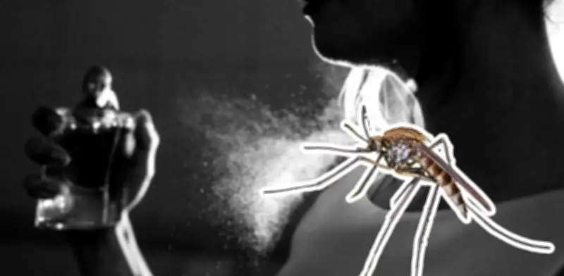 Olores que atraen mosquitos: evita estos perfumes para no ser picado