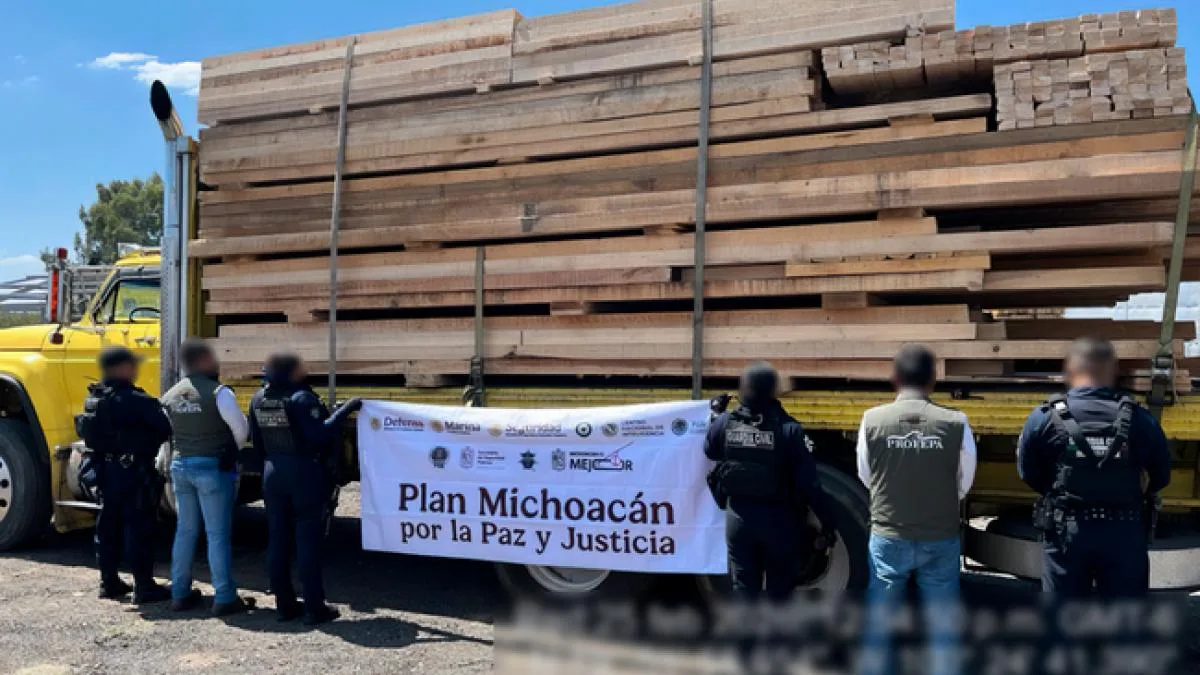 Operativo contra tala ilegal en Michoacán deja 14 detenidos y más de 500 m³ de madera asegurados