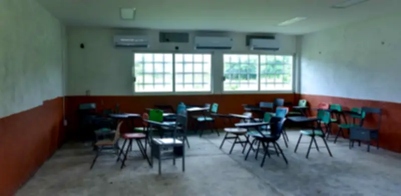 Paros de la CNTE aumentan deserción escolar en primaria en 5 estados