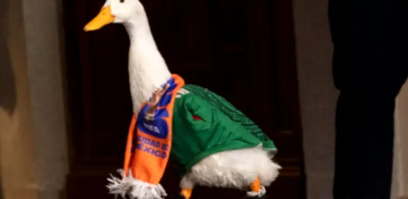 Pato Merlín llega al Estadio Ciudad de México con fuerte seguridad para México vs Chequia