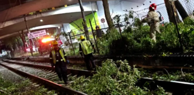 Por segunda vez en la semana suspenden servicio en tramo del Tren Ligero