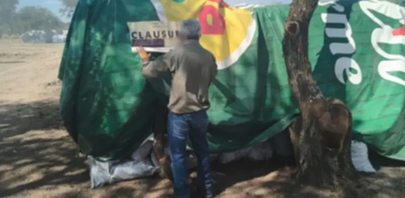 Profepa clausura carbonera ilegal y sanciona a empresa contaminante en Durango