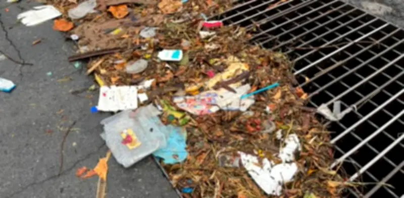 San Nicolás multará hasta con 23 mil pesos a quienes tiren basura en vía pública