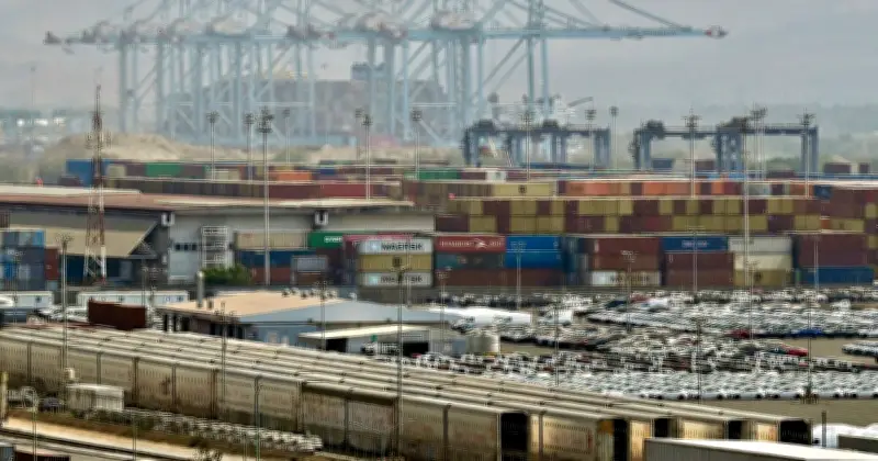 SAT y Aduanas eliminan dictaminación de avisos en comercio exterior
