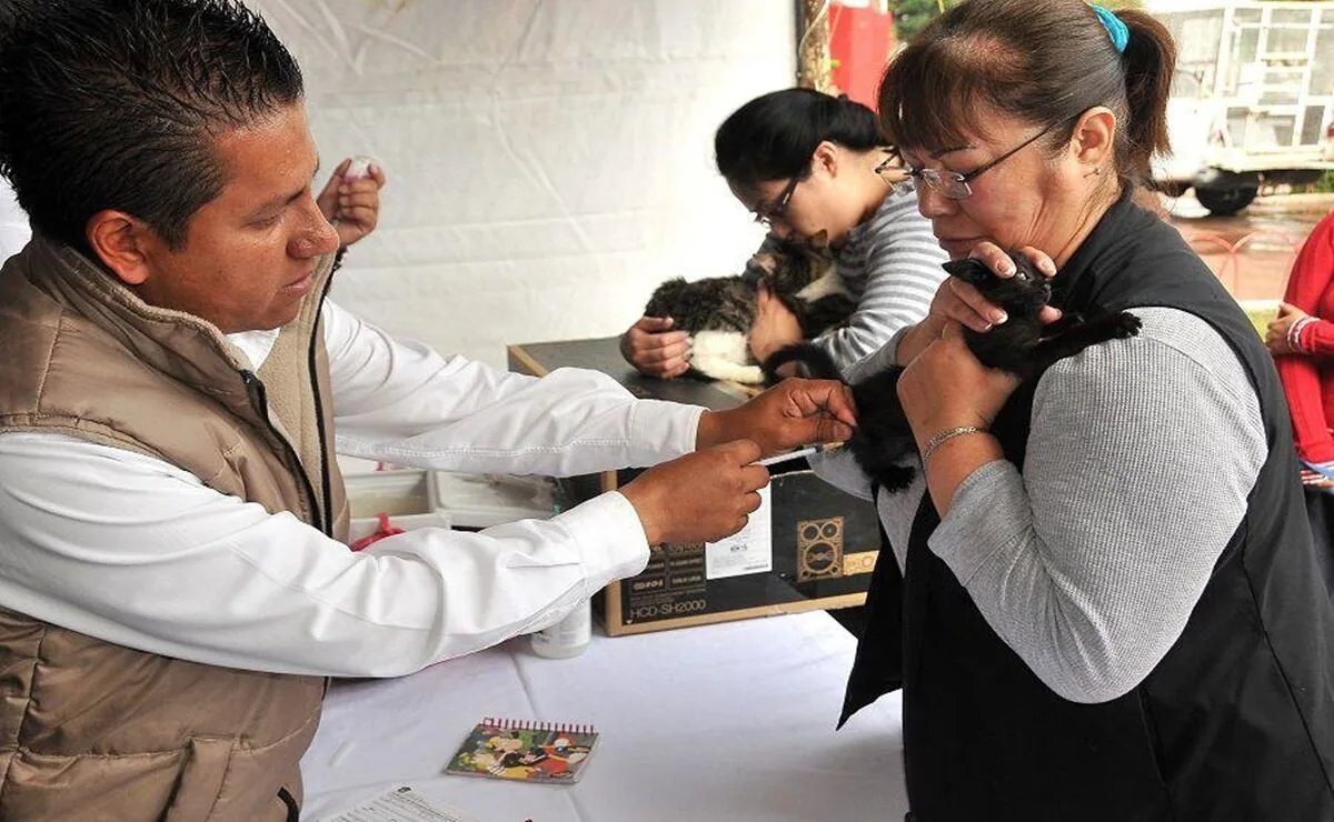 Arranca vacunación antirrábica en Edomex con 2.8 millones de dosis