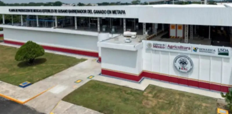 Sheinbaum inaugura planta de moscas estériles contra gusano barrenador en Chiapas