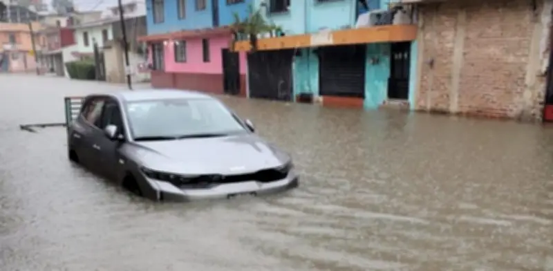 Temporal azota Veracruz: árboles caídos en Xalapa e inundaciones en el norte