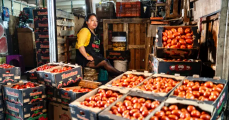 Tomate mexicano pierde 12% de participación en EE.UU. por arancel