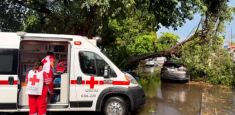 Tormenta sorpresa en Colima: 76 incidentes, una lesionada y apagones