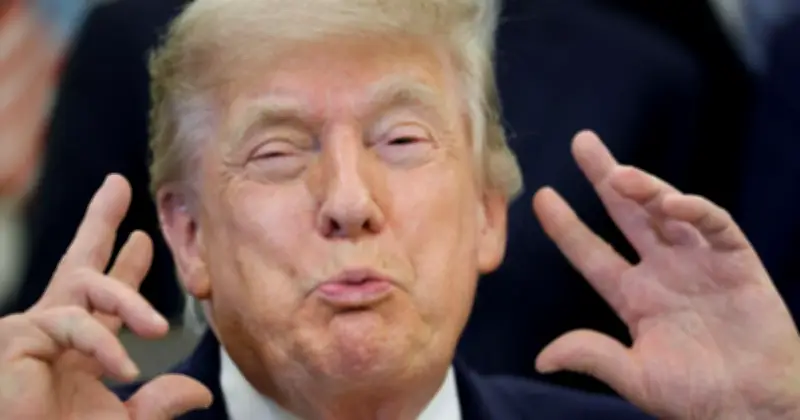 Trump celebrará sus 80 años con combate UFC de 60 mdd en la Casa Blanca