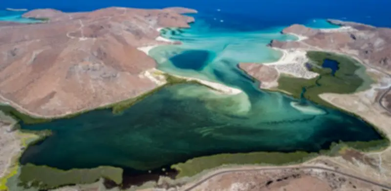 Vacaciones de verano en La Paz, BCS: una travesía inolvidable por el Golfo de California