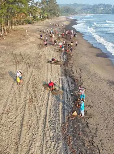 Comunidades indígenas de Veracruz denuncian limpieza incompleta de playas tras derrame de hidrocarburos