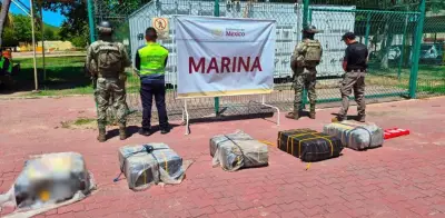 Aseguran 270 kilos de cocaína en puerto de Manzanillo