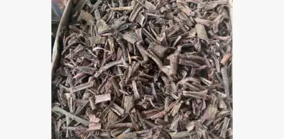Aseguran más de 1.8 toneladas de corteza de tepezcohuite en México