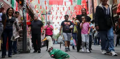 Felipe Calderón defiende derechos de imagen del pato Merlín, viral del Mundial 2026