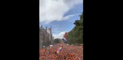 Invasión naranja: la 
