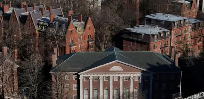 Mexicanos en Harvard: pasión por el Mundial entre clases y exámenes