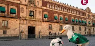 Pato Merlín: de fenómeno viral a invitado de honor en la 'Mañanera'