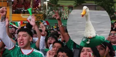 Pato Merlín es nombrado embajador del Mundial 2026 en México