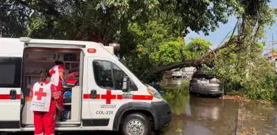 Tormenta sorpresa en Colima: 76 incidentes, una lesionada y apagones