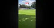 Así es la lujosa cancha de entrenamiento para Corea del Sur