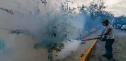 Aumentan a 2 mil 703 los casos de dengue en México; 26 estados afectados