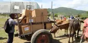 Ayuda humanitaria en Cuba avanza en carretas de bueyes por falta de combustible
