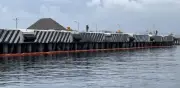 Derrame de hidrocarburo en Manzanillo tardó casi 24 horas en ser contenido