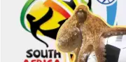 El pulpo Paul: el oráculo del Mundial 2010 que acertó todo