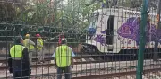 Falla en Tren Ligero de CDMX por cable roto a días del Mundial 2026