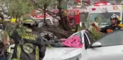Fuerte lluvia en Puebla deja un muerto y un herido por caída de árbol