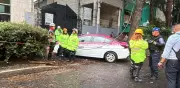 Fuerte viento derriba rama sobre taxi en colonia Roma; hay daños y cortes