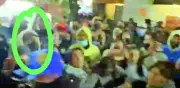 Identifican a 'El Chimino' como agresor de Rojo de la Vega en riña en Zona Rosa