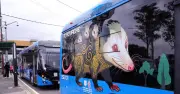 Línea 14 del Trolebús: Ruta de los Animales Silvestres en CDMX