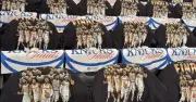 Madison Square Garden vive fiesta histórica con el regreso de las Finales de la NBA
