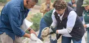 Mega jornada de limpieza en Edomex recolecta 700 toneladas de basura