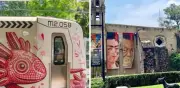 Museo Dolores Olmedo: guía definitiva para llegar en transporte público