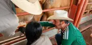 Nuevo León inspeccionará físicamente ganado para evitar gusano barrenador