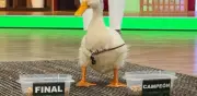 Pato Merlín predice el futuro de México en el Mundial 2026