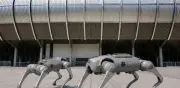 Perros robot vigilarán el Estadio Monterrey durante el Mundial 2026