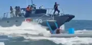 Semar captura a 3 personas con 250 kg de pepino de mar en veda en Yucatán
