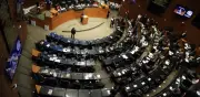 Senado gasta 52.3 mdp al mes en honorarios de mil 355 empleados