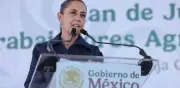 Sheinbaum felicita a padres en su día: “Contribuyen a construir un mejor México”