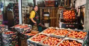 Tomate mexicano pierde 12% de participación en EE.UU. por arancel